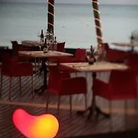 Mosquito Beach Hotel Playa del Carmen